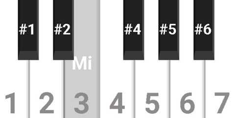 蛋仔派对简谱钢琴 9009 安卓版 2