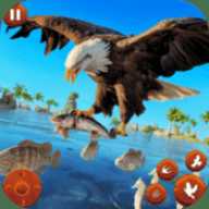 野生鸟类生活模拟器