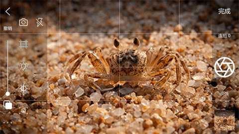 逐格光影 1.8.9.052822.product 安卓版 3