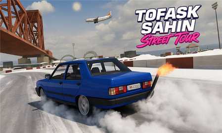 大师驾驶街头之旅 1.0 安卓版 3