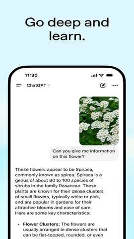 ChatGPT5.2 1.2026.013 正式版 1