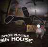 小老鼠大房子
