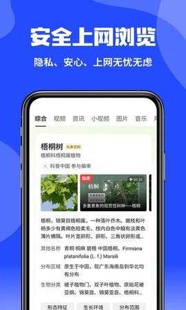 CCAV 1.0.0 安卓版 2