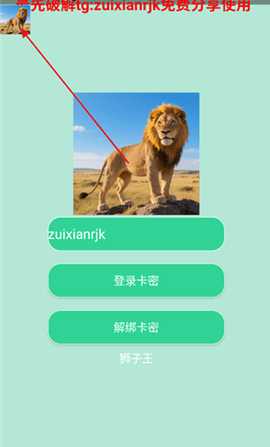 狮子王直装 M.4.9 安卓版 1