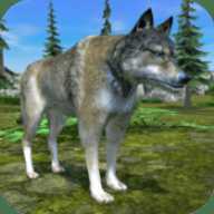 狼模拟器