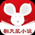 翻天鼠小说