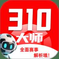 310大师