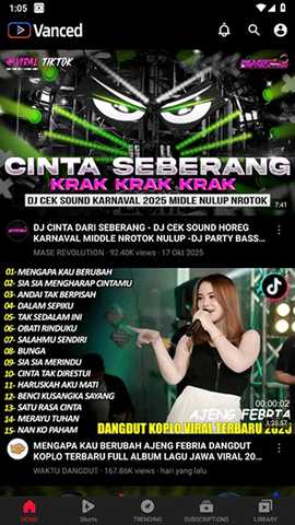 Vanced 5.5.80.317 最新版 2