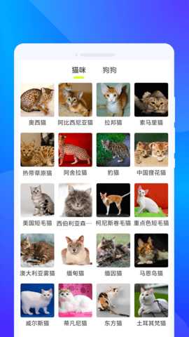 快文扫描 1.0.0 安卓版 2