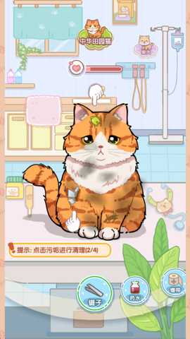 猫猫狗狗一起玩游戏下载
