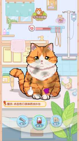 猫猫狗狗一起玩游戏下载