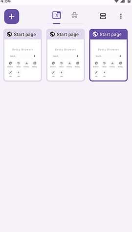 Berry浏览器 3.80.20 安卓版 1