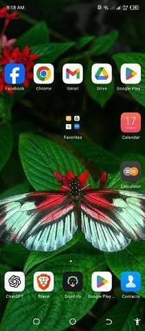 Eblan Launcher 0.3.0-alpha 安卓版 2