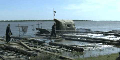 青椒TV 5.2.2 安卓版 2