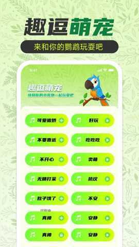 鹦鹉翻译助手 1.0.0 安卓版 3
