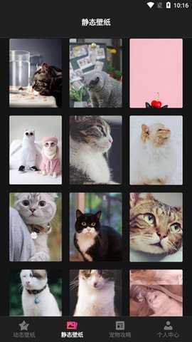 喵喵之家 1.1 安卓版 1