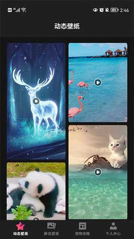 喵喵之家 1.1 安卓版 3