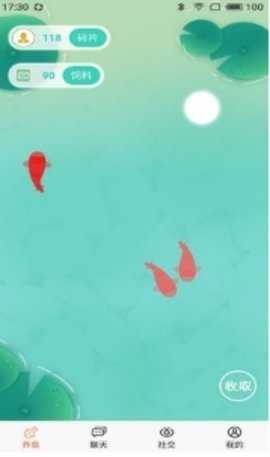 以渔社交 1.0 安卓版 3