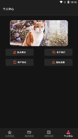 喵喵之家 1.1 安卓版 2