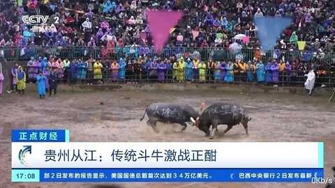 壹梦直播电视版 2.690 安卓版 0