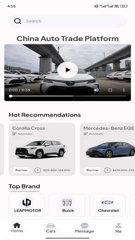 BZ Auto 1.0 安卓版 1