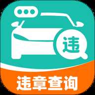 免费违章易查