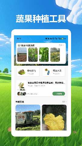 桃源村物语 1.2 安卓版 1