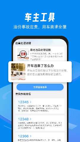 123违章速查 1.0.2 安卓版 1