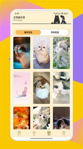 公鸡翻译器 1.2 安卓版 2