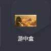 游中盒