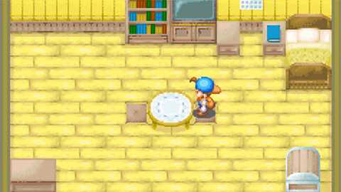 牧场物语矿石镇的伙伴们中文版 2.0.0 安卓版 1