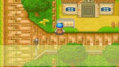 牧场物语矿石镇的伙伴们中文版 2.0.0 安卓版 2