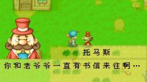 牧场物语矿石镇的伙伴们中文版 2.0.0 安卓版 3