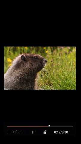 金沐文件助手 v1.0.9 安卓版 2