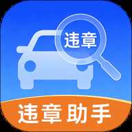 交通违章缴纳记录