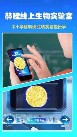 赫鲤元宇宙 2.2.33 安卓版 2