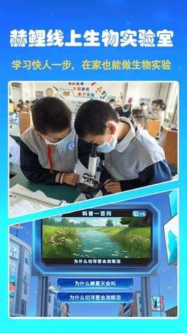 赫鲤元宇宙 2.2.33 安卓版 1