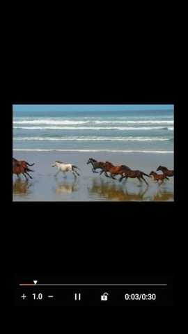 金沐文件助手 v1.0.9 安卓版 1