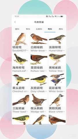 鸟语翻译器prt V3.0 安卓版 1