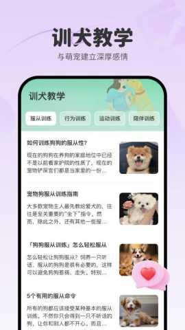 养宠大师 1.1.50 安卓版 2