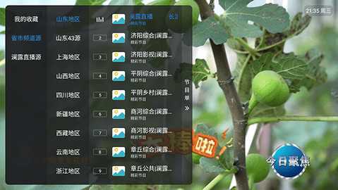 澜露电视直播03 1.7.6.9_20260102_1722 安卓版 1