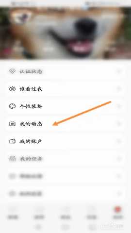 发闪照教程截图2