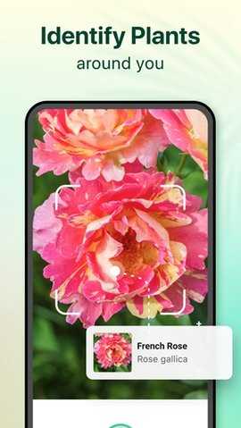 plantparent 1.104 安卓版 1