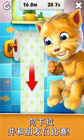 会说话的金杰猫 3.1.1.222 安卓版 3