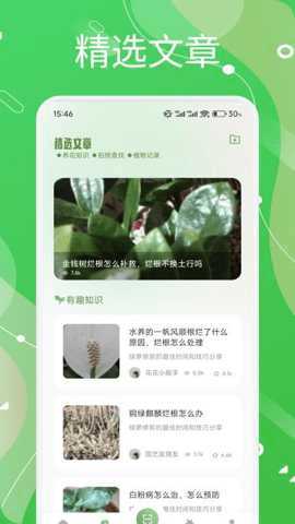 芙蓉花语 1.3 安卓版 1