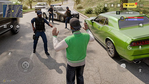 加州生活模拟器 0.46.2 安卓版 2