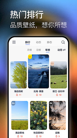 极壁纸 1.1.1 安卓版 1