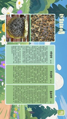 3D昆虫记 2.2 安卓版 2
