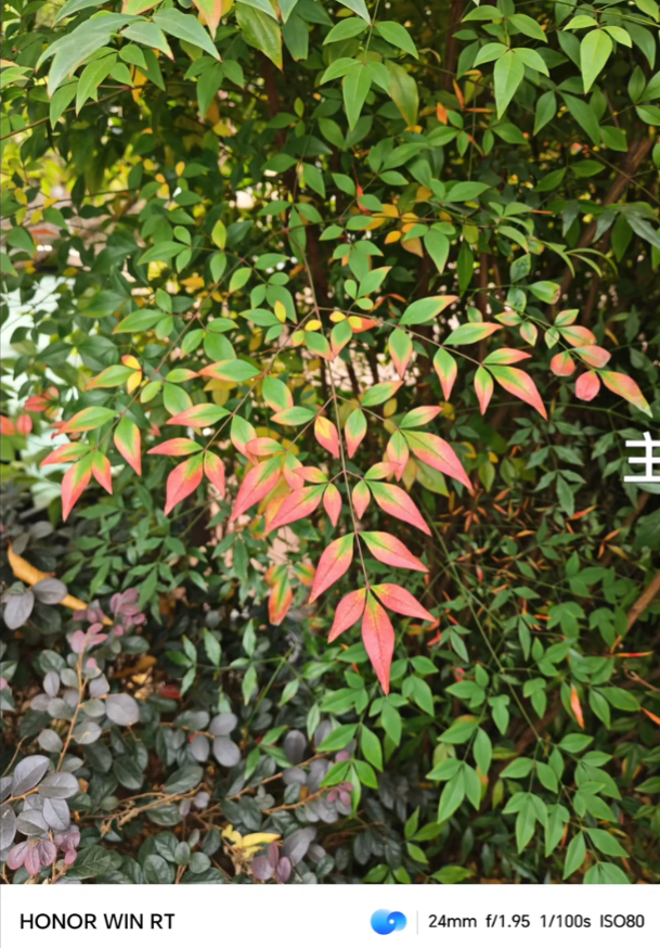 荣耀相机 v15.0.0.760 安卓版 3