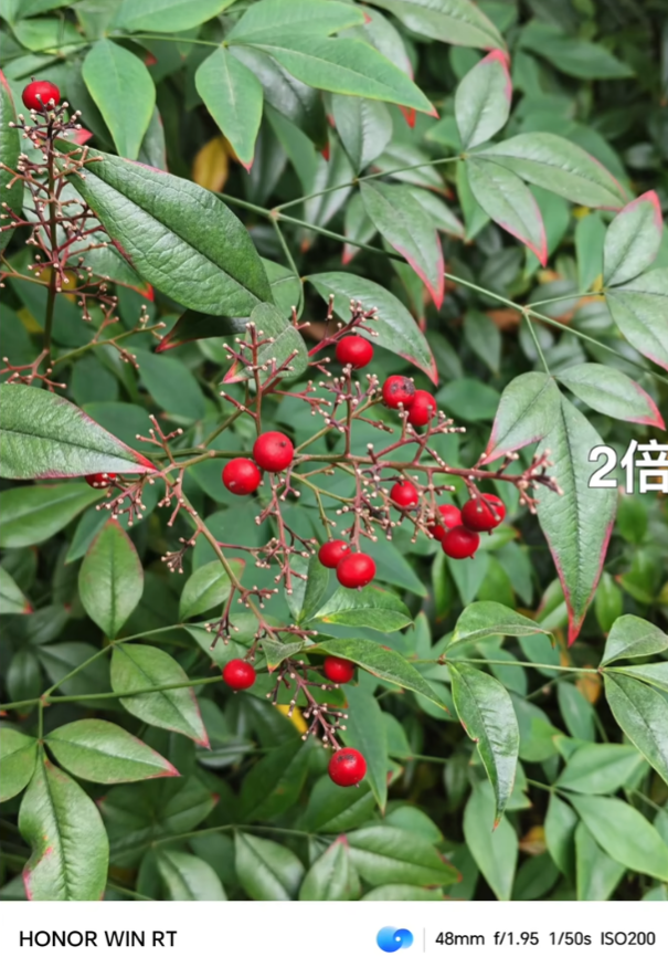 荣耀相机 v15.0.0.760 安卓版 2